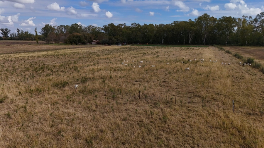 Commercial Property for Sale in Potchefstroom Rural North West